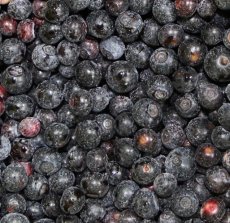 FZ Fruit Blueberries, Bulk (30 Lb) - S/O