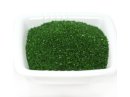 Green Gourmet Sugar (8 LB) - S/O