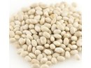 Organic Navy Beans (25 LB) - S/O
