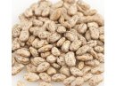 Organic Pinto Beans (25 LB) - S/O