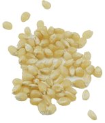 Medium White Hulless Popcorn (25 LB)