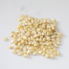 Medium White Popcorn (6/6 Lb)