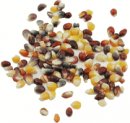 Rainbow Popcorn (25 LB)