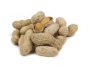 Roasted & Salted Jumbo Peanuts in the Shell (25 LB) - S/O