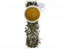 Green Sencha Bulk Tea (2 LB) - S/O