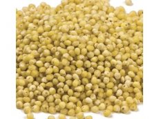 Food Grade Millet (25 LB) - S/O