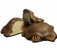 Chocolate Coconut Turtle, Lil Turtles (24 CT) - S/O