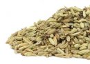 Fennel Seed, Whole (20 LB)