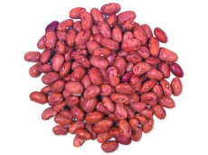 Cranberry Beans (50 LB) - S/O